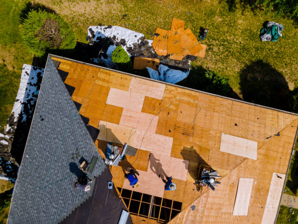 Best Flat Roof Repair Services  in Elmwood Park, IL