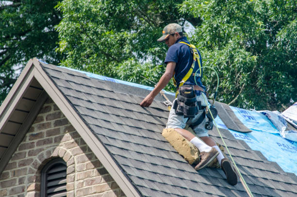 Quick and Trustworthy Emergency Roof Repair Services in Elmwood Park, IL